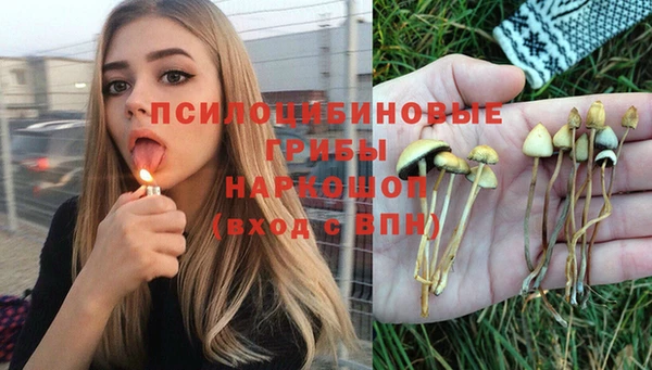 кокс Сатка