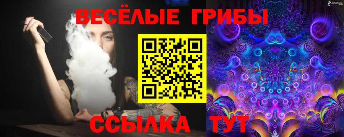 Галлюциногенные грибы прущие грибы  Вход с VPN  где купить наркоту  Рославль  Галлюциногенные грибы прущие грибы 